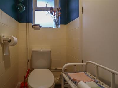 Picture 7